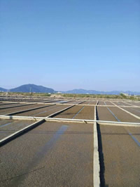 �{���{�B����