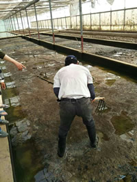 �މa�{�B����